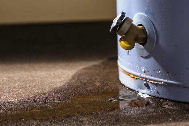 Best Commercial water damage restoration  in Byrdstown, TN