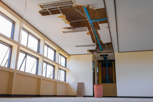 Best Residential water damage restoration  in Byrdstown, TN
