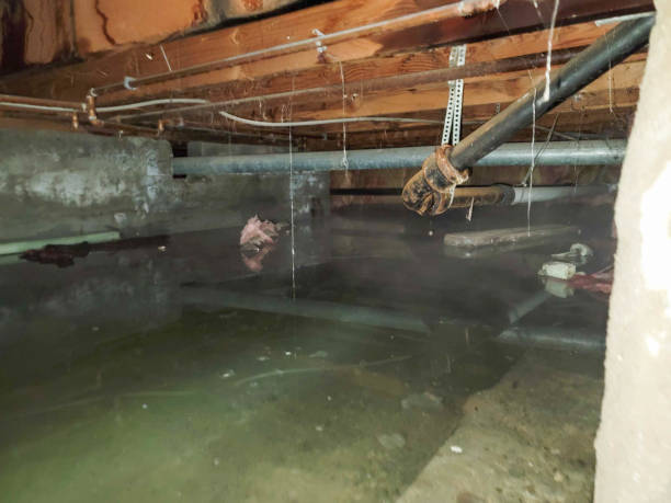 Best Water damage restoration near me  in Byrdstown, TN