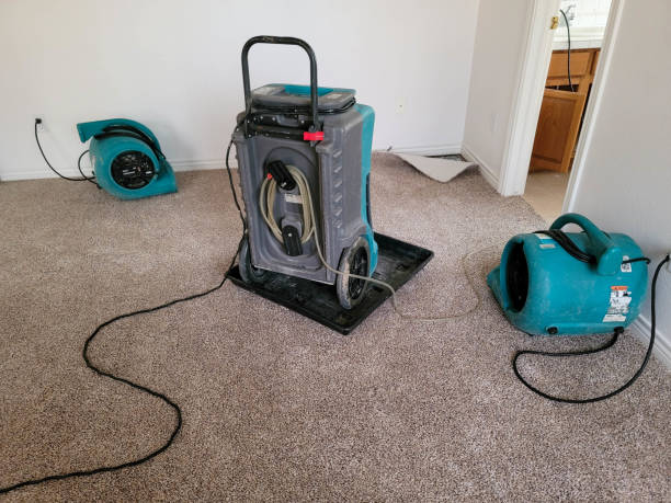 Best Water damage restoration specialists  in Byrdstown, TN