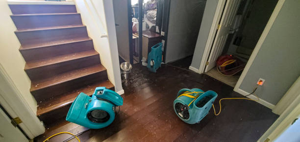 Best Basement water damage restoration  in Byrdstown, TN