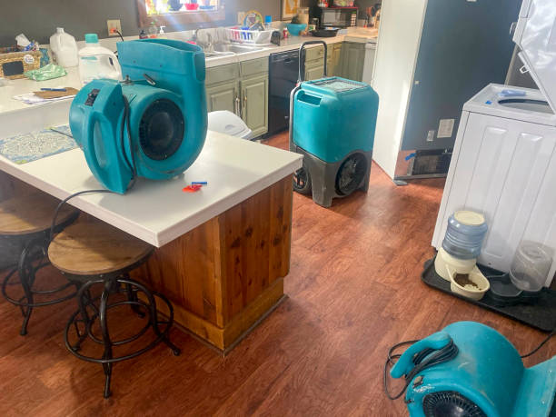 Water damage restoration mold remediation in Byrdstown, TN