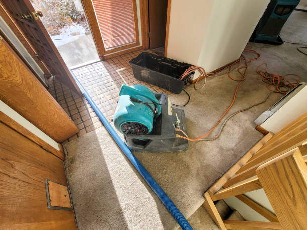  Byrdstown, TN Water damage restoration Pros
