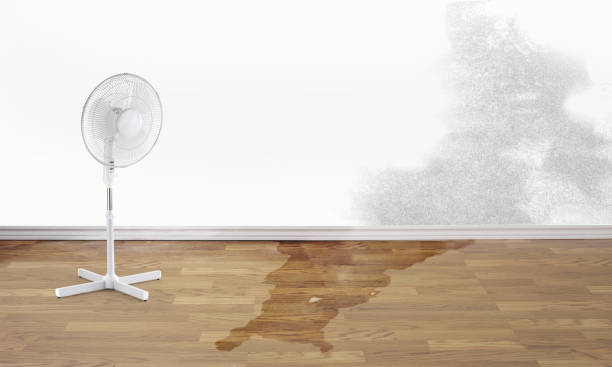Carpet water damage restoration in Byrdstown, TN