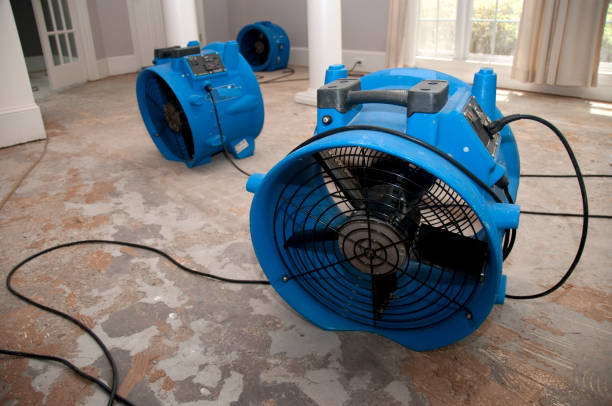 Best Water damage cleanup near me  in Byrdstown, TN