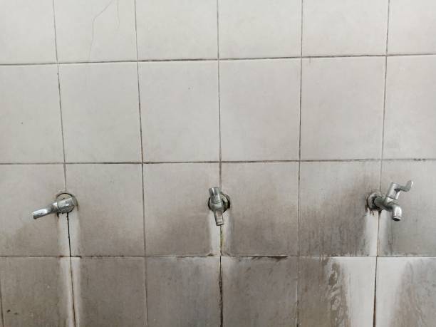 Best Sewage cleanup and water damage restoration  in Byrdstown, TN