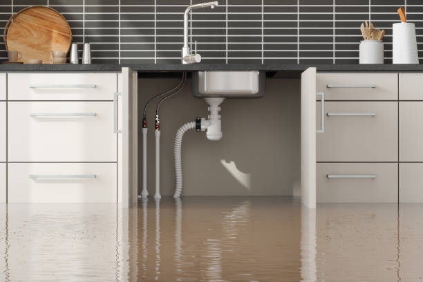 Best Water damage restoration experts  in Byrdstown, TN