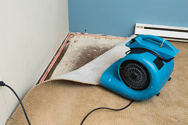 Best Flood damage cleanup  in Byrdstown, TN